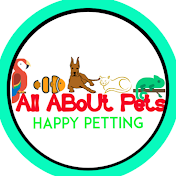 All About Pets