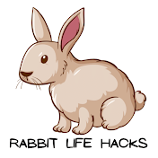 Rabbit Life Hack