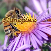 Honeybeevidsfx