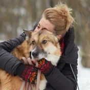 Спасение животных Якутск сейчас