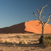 A Voice In The Desert