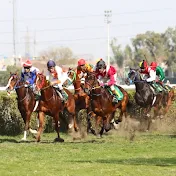 Pakistan Horse Racing