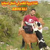 Abou Aliقناة تربية الغنم في شمال إسبانيا