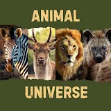 Animal Universe