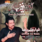 Zawar Ali Raza Official  🎶
