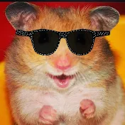 HamsterTacos