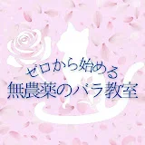 ◇最高にわかりやすい◇ゼロから始める無農薬のバラ教室