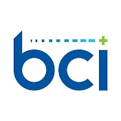 Battery Council International - BCI
