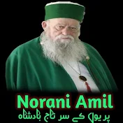 Norani Amil