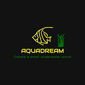 AquaDreamEN