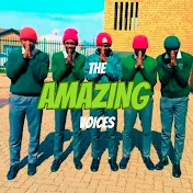 The Amazing Voices