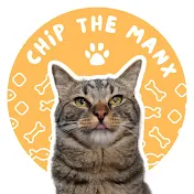 Chip The Manx