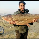 Sheikh Basit Fishing