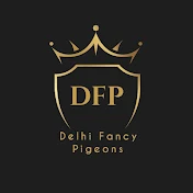 Delhi fancy pigeons Exotic birds