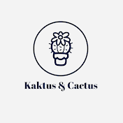 Kaktus & Cactus