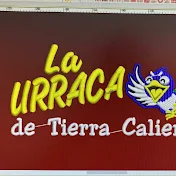 la urraca de tierra caliente