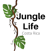 Jungle Journey in Costa Rica