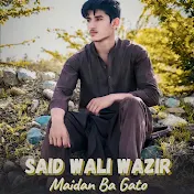 Said Wali Wazir - Topic