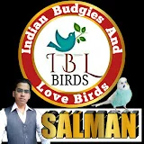 Indian Budgies and Love Birds