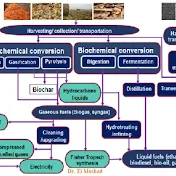 STEM Biosystems Engineering   هندسة نظم حيوية