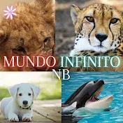 MUNDO INFINITO NB