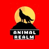 Animal Realm