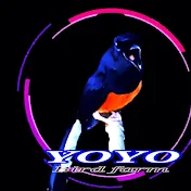 Yoyo Bird Chanel
