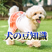 犬の豆知識【ゆっくり解説】