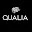 Find Qualia