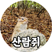 산람쥐