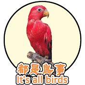 都是鳥事_Its_all_birds