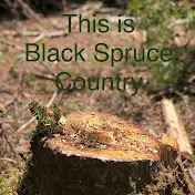 Black Spruce Country