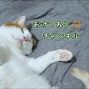 おけつねこチャンネル