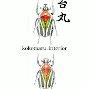 【昆虫標本てんそく】苔丸チャンネル