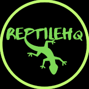 ReptileHQ