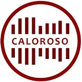 Vocaal ensemble Caloroso