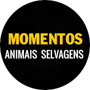 Momentos Animais Selvagens