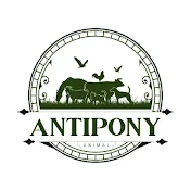 Antipony