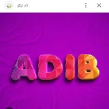 Adeeb academy