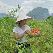 Như Quỳnh