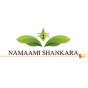 Namaami Shankara
