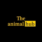The Animal Hub
