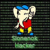 Slonenok hacker