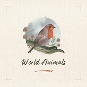 World Animals