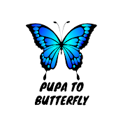 Pupa to Butterfly