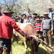 Laceros de cerro