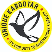 Unique Kabootar 0786