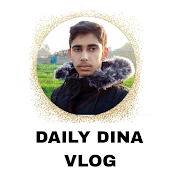 Daily Dina Vlogs