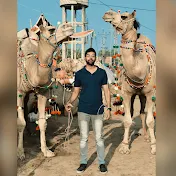 Gujranwala Camel Mandi By Umair Mughal