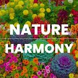 Nature Harmony TV